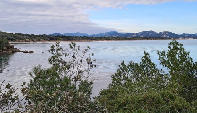 Ô Salins Presqu'ile DE Giens Rez-de-jardin 6 Personnes, 150m Plage, Wifi Clim