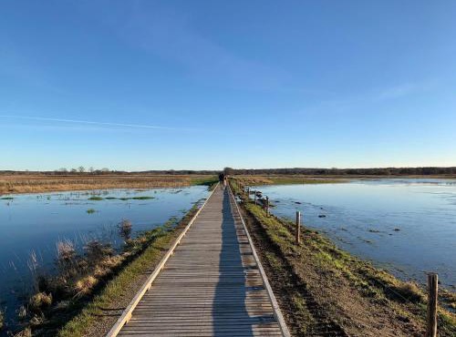 Ørbakke - Søborg Sø