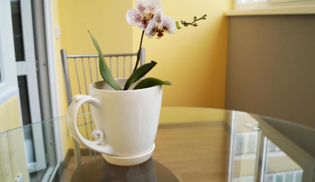 Апартаменты ЧАЙКА ART двухкомнатные