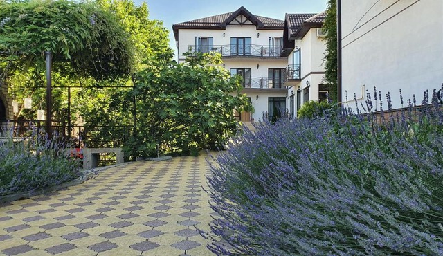 Лавандовый дворик