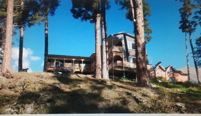 Сосновый Бор