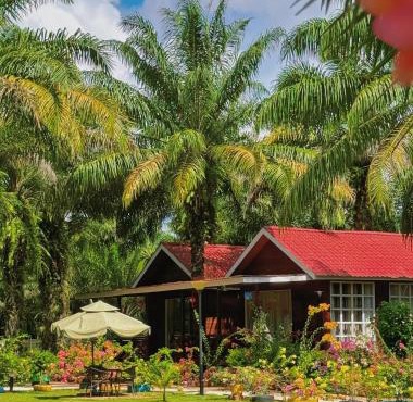 仙本那漫居林舍度假村