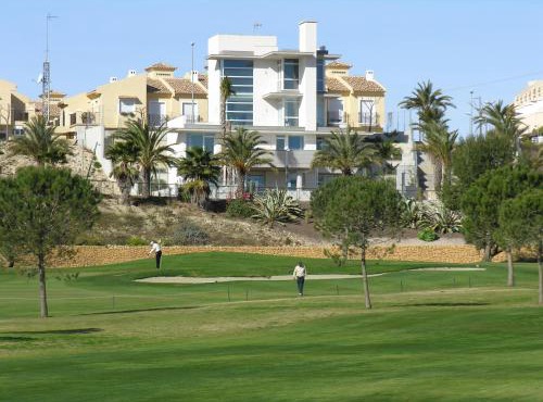 01 Loft Alenda Golf
