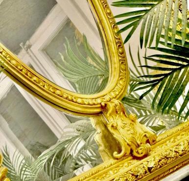 03 CAPE TOWN - Tourcoing JUNGLE ROOM