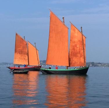 1 2 3 Chambres entre la Presqu île de Rhuys et le Golfe du Morbihan