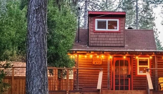 1/2 acre fenced Dog&Kiddo Paradise 3rd Bdrm Option Fire Pit Sky Deck Town Close