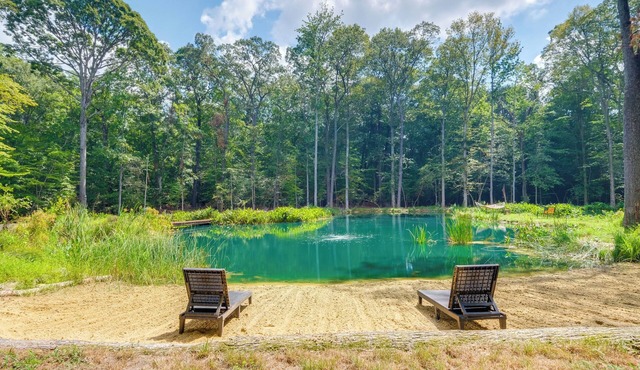 1/2 Acre Pond, Rec Room! Private Oasis in Nanjemoy