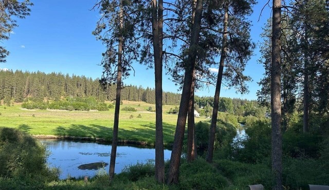 1, 2 or 3 rooms|Couples Retreat|Riverfront|Firepit