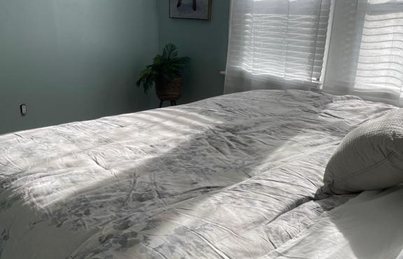 1.5 acre 5 BR Home 10 min from Buckhead!