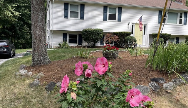 1.5 miles from World Cup action. Brilliant 3-bedroom house with AC.