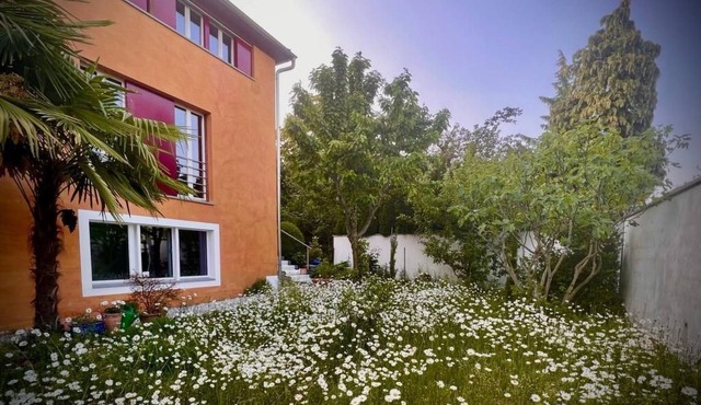 1,5 Zimmer Ferienwohnung by Interhome