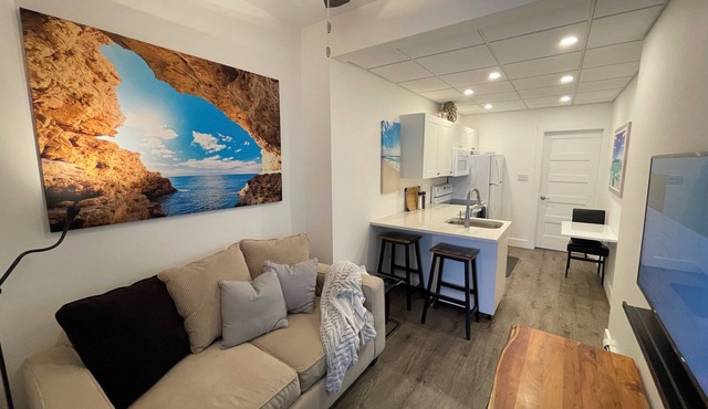 1 BDRM Downtown Executive Suite