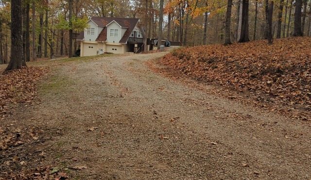 1-bdrm house with fireplace, AC and WiFi with 20 acres of trees scenic deck.