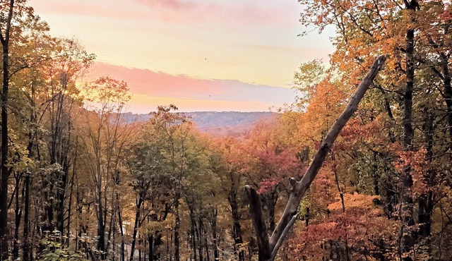 1 bdrm Modern Oasis near everything.