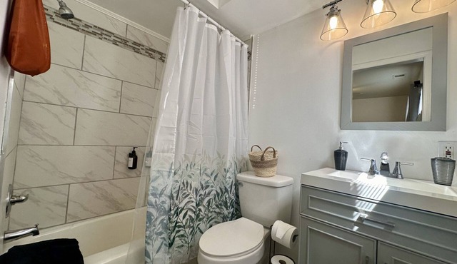 1 bed/1 bath furnished apartment mins from hospitals, sports & airport