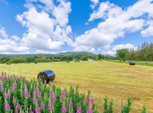 1 Bed in Bonar Bridge 89058