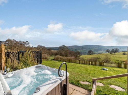 1 Bed in Knighton 51897