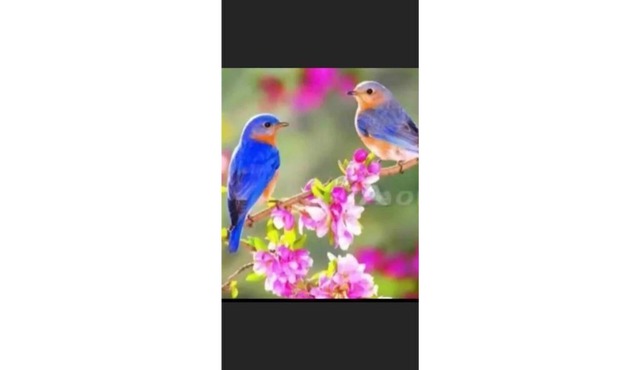 1 Bed Room HANDS&HEART Extended-Stay ENJOY UR STAY