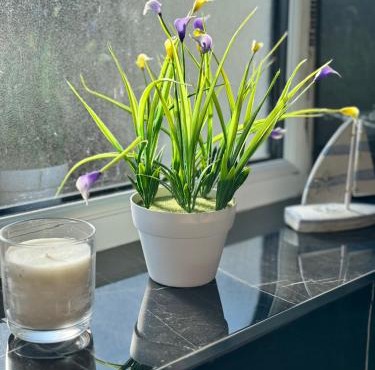 1 bed with kitchenette and bathroom