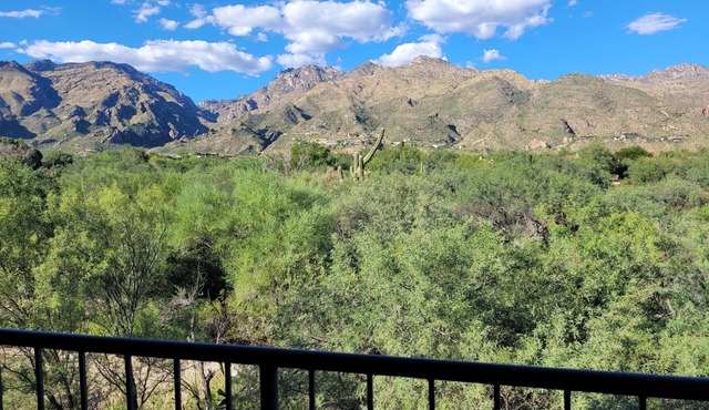 1 Bedrm-den with Breathtaking Mountain and Ventana Golf Course Views!