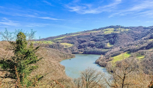 1 bedroom accommodation in Castelnau d Mandailles