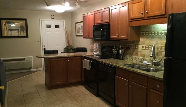 1 Bedroom 1 Bath Condo