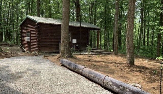 1 Bedroom,1 Bath, Porch, Fire Pit, Grill, Beautiful Wooded Location, Wi-Fi also!