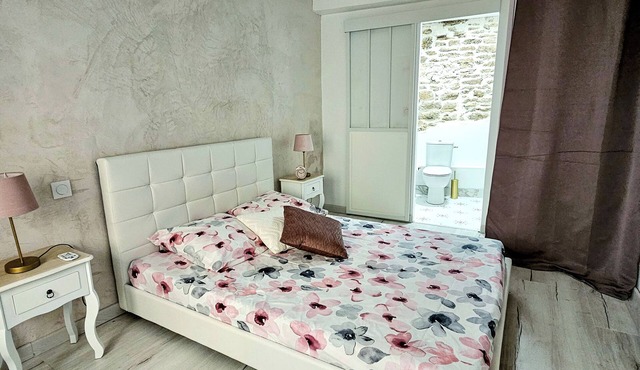 1 Bedroom Apartment in ChÃ¢teauneuf-du-Pape