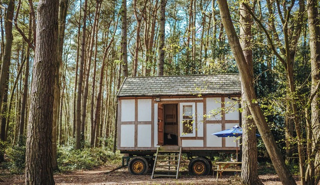 1 bedroom accommodation in Melton Constable