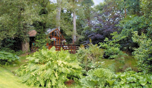 1 bedroom accommodation in Furze Hill, near Fordingbridge