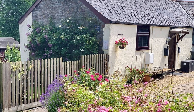 1 bedroom accommodation in Near Woolsery