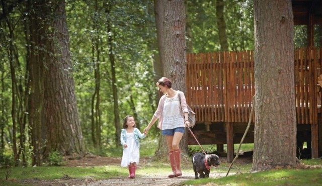 1 bedroom accommodation in Nr Pickering