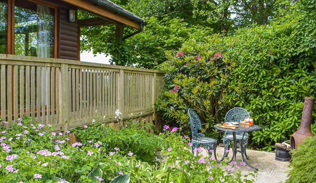 1 bedroom accommodation in Bancyffordd