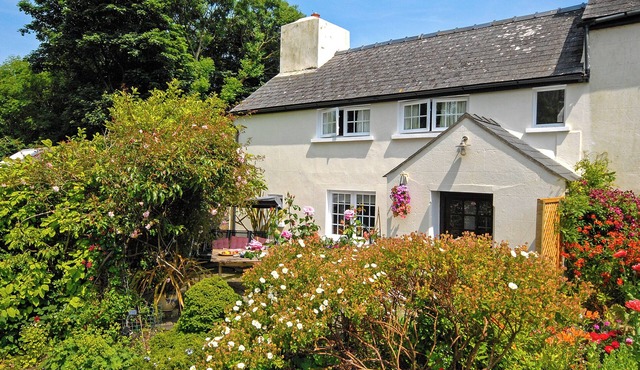 1 bedroom accommodation in St Nicholas