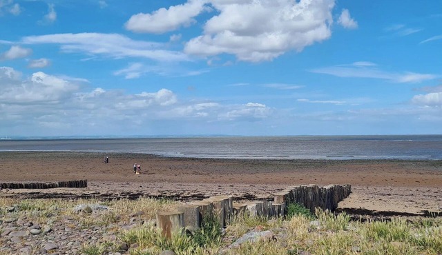 1 bedroom accommodation in Wellington