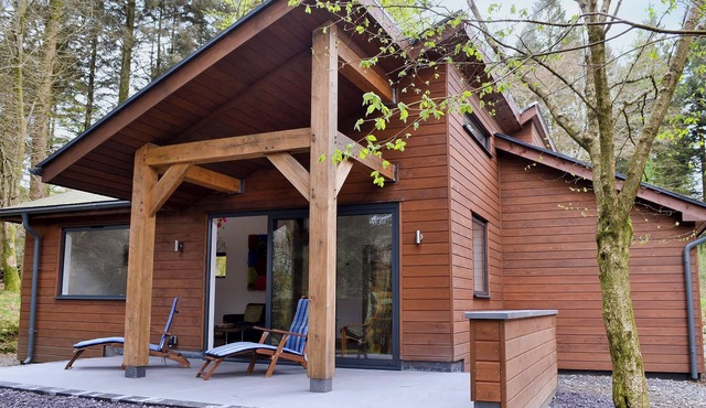 1 bedroom accommodation in Beddgelert