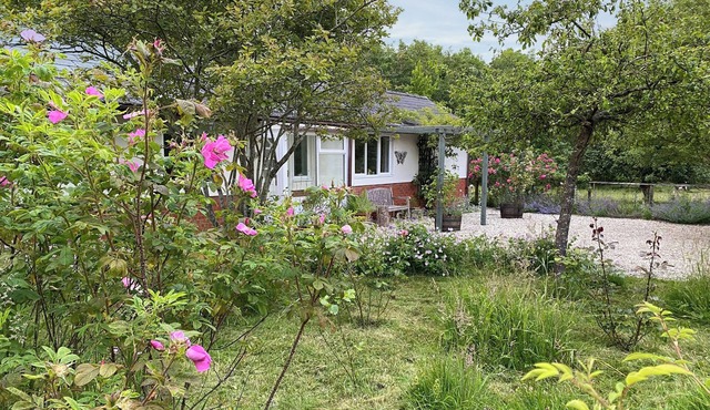 1 bedroom accommodation in Blakemere