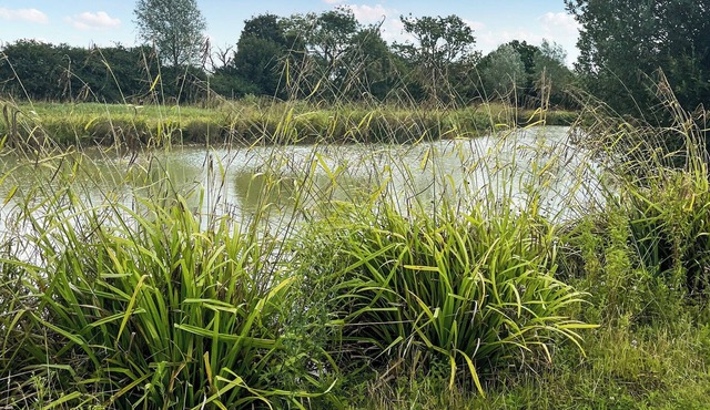 1 bedroom accommodation in Framlingham