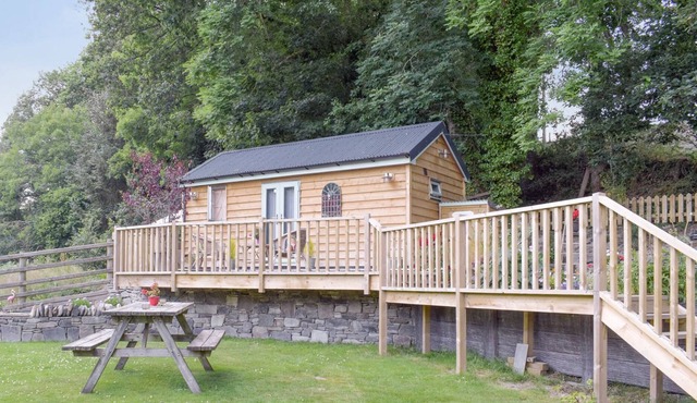 1 bedroom accommodation in Trefeglws