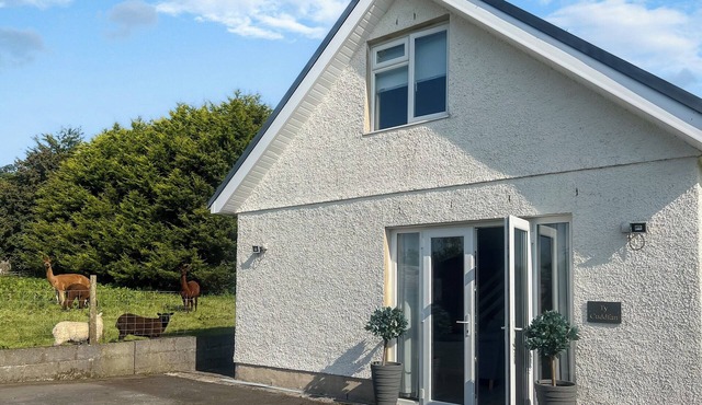 1 bedroom accommodation in Llanelli