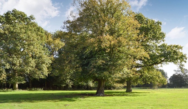 1 bedroom accommodation in Palgrave, near Diss