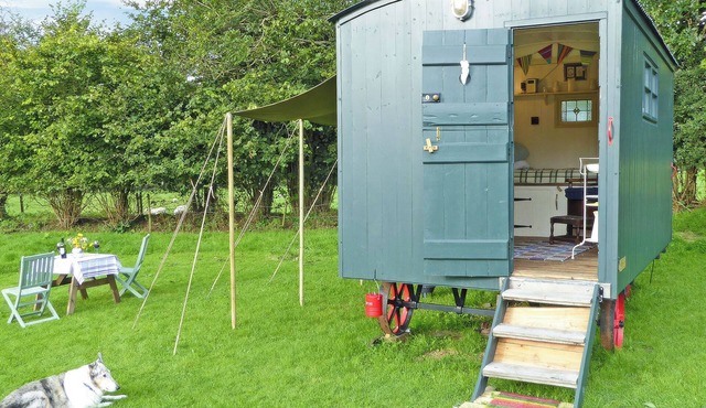 1 bedroom accommodation in Tregaron