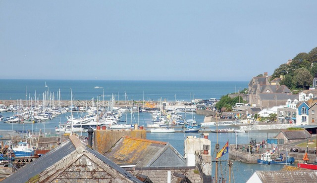 1 bedroom accommodation in Brixham