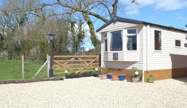 1 bedroom accommodation in Chard