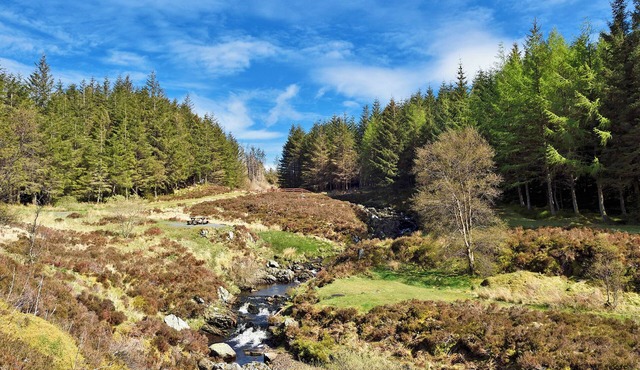 1 bedroom accommodation in Lendalfoot, Girvan