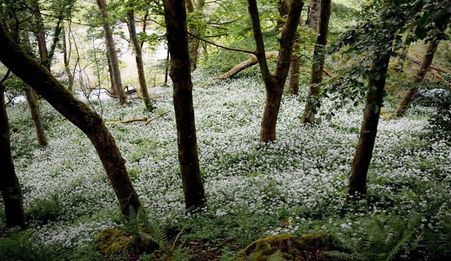 1 bedroom accommodation in Appersett, near Hawes