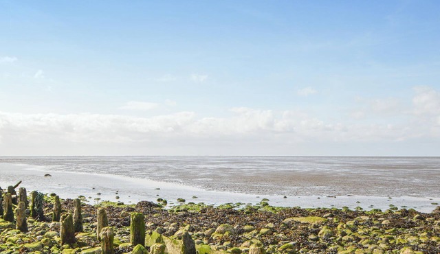 1 bedroom accommodation in Højer