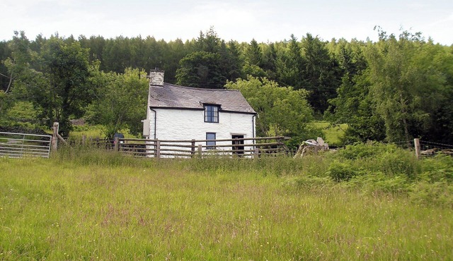 1 bedroom accommodation in Bala