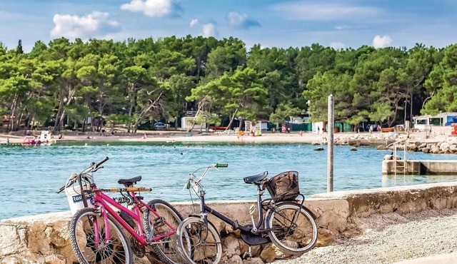 1 bedroom accommodation in Krk