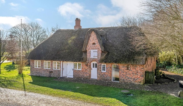 1 bedroom amazing home in Højer